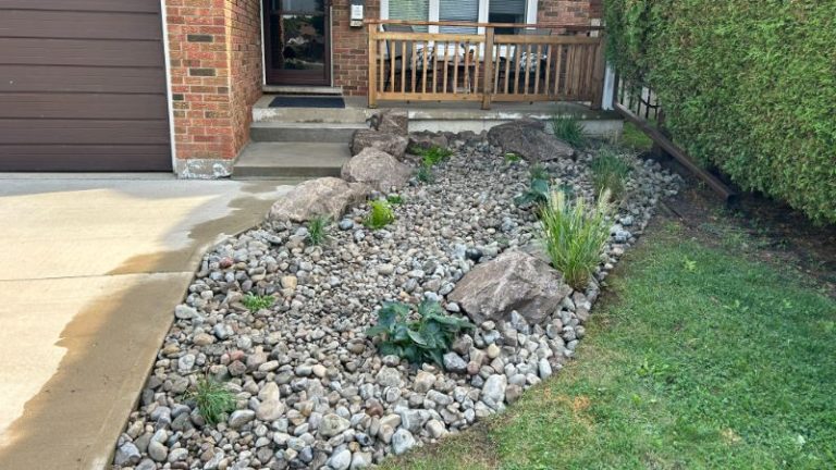 Drought Tolerant Landscaping Or Xeriscaping