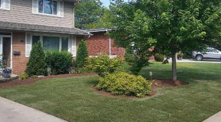 sod installation